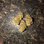 Customer Review Image