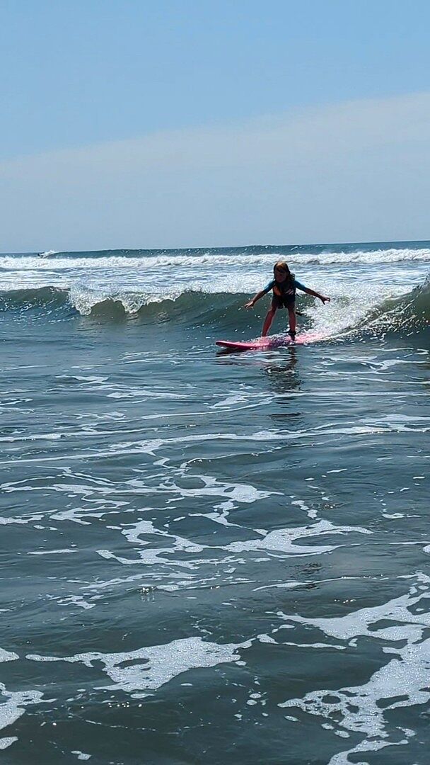 Performer (Tri Fin) – Catch Surf USA