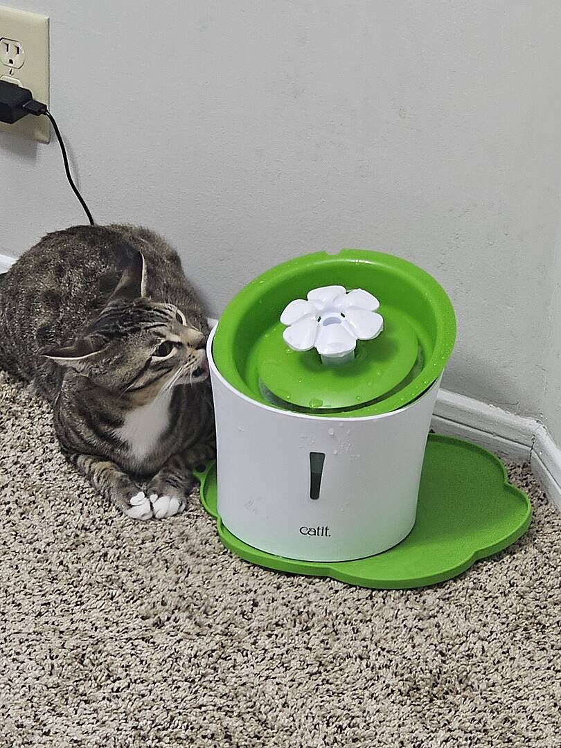 Catit Flower Fountain Catit USA Official Catit Brand Store