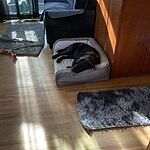 Image of Review by Barbara T. on 21 Jun 2024 number 1