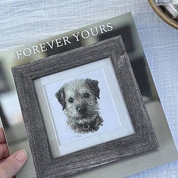 Photo of review by Thimgan on Jun 25, 2024 #1