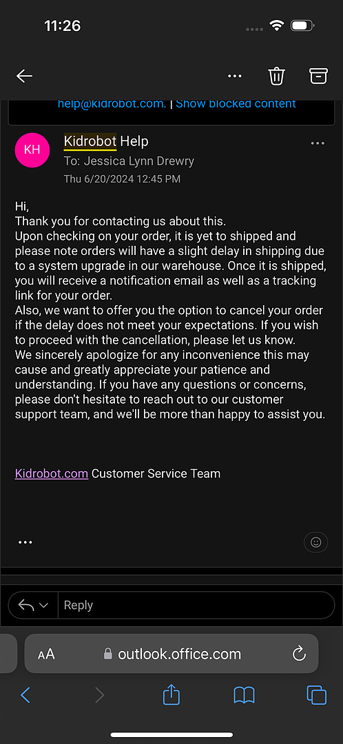 The Lion King Adult Simba 13