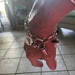 Changeable Charm Bracelet