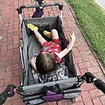 Image of Review by Kristin H. on  7 Jul 2024 number 1