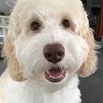 Image of Review by Kathy N. on  9 Jul 2024 number 1