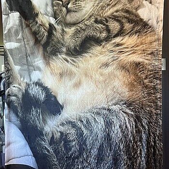 Photo of review by Angie on Jul 10, 2024 #1