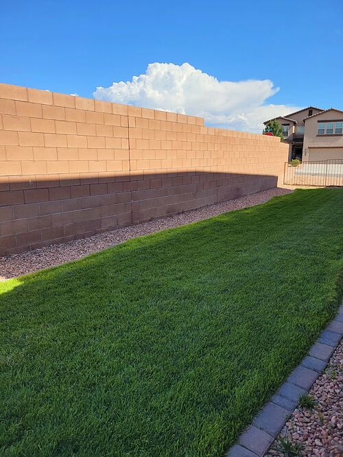 A lawn in Rio Rancho, NM