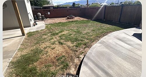 A lawn in Safford, AZ