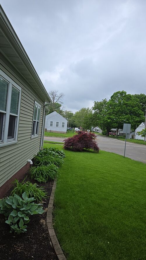 A lawn in Lincoln, IL