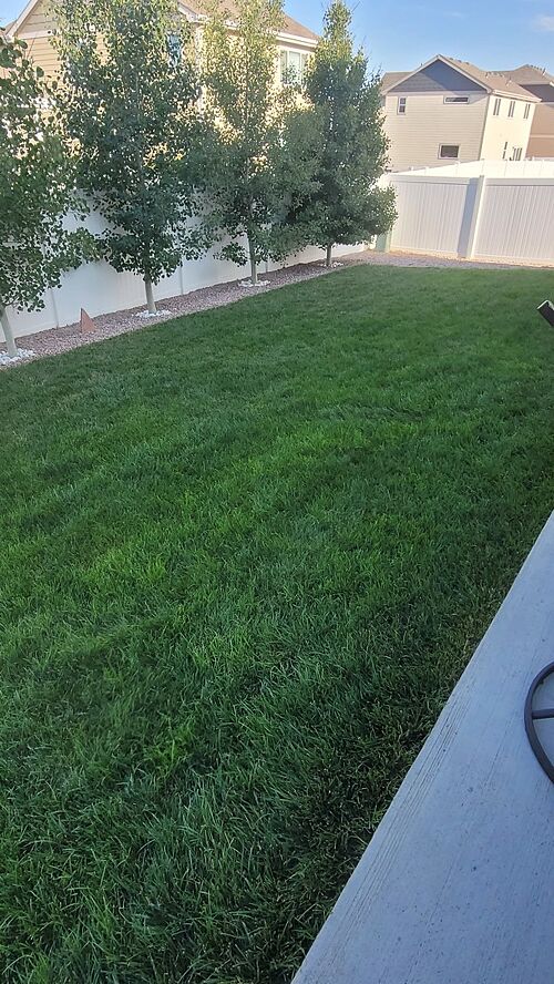 A lawn in Greeley, CO