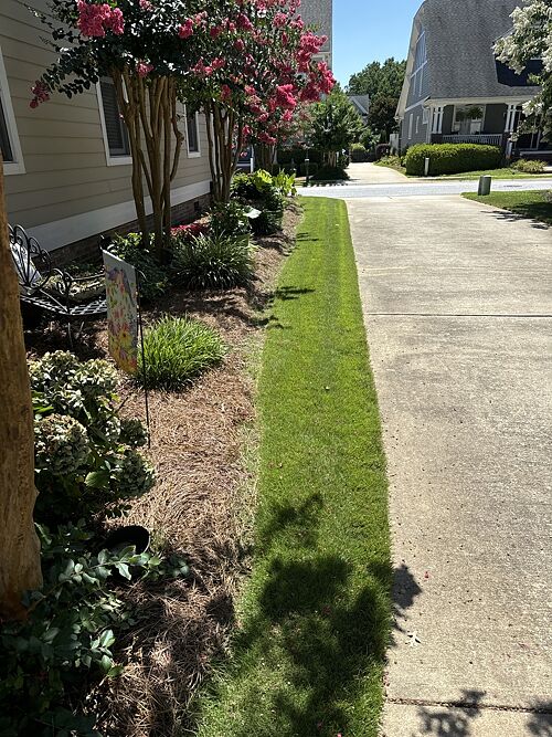 A lawn in Greenville, SC