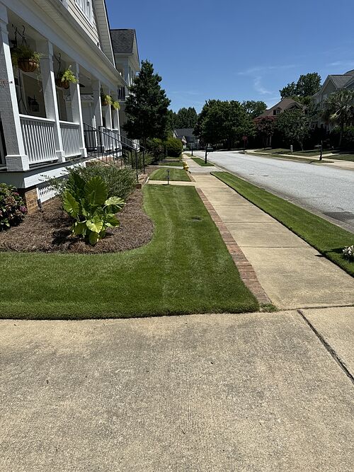 A lawn in Greenville, SC