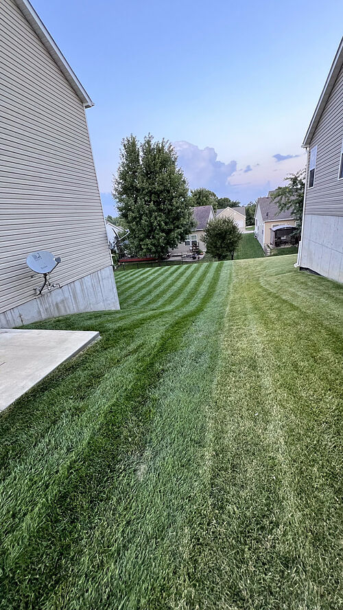 A lawn in St. Charles, MO