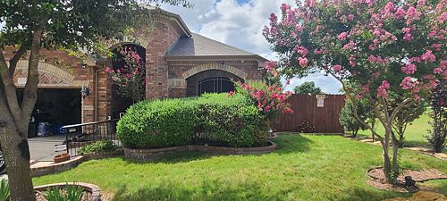 A lawn in San Antonio, TX