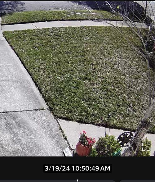 A lawn in Jacksonville, FL