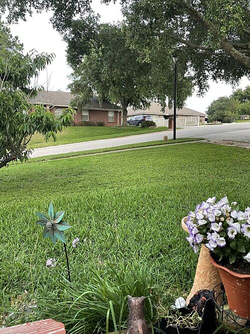 A lawn in Jacksonville, FL