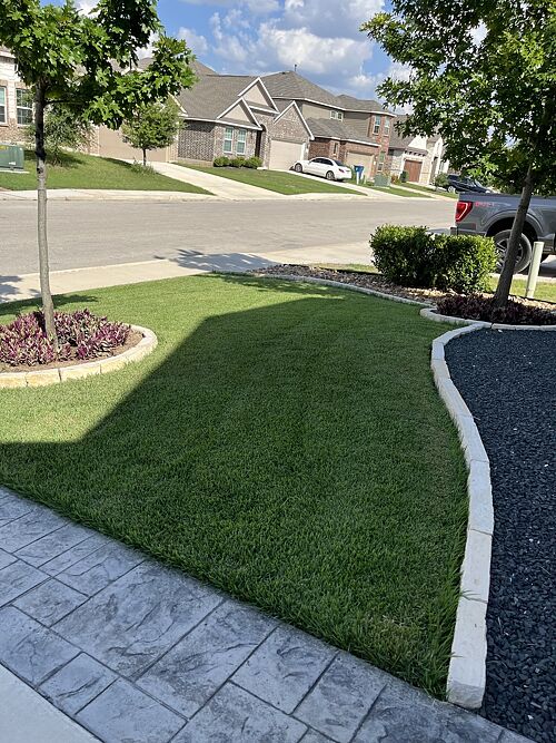 A lawn in San Antonio, TX