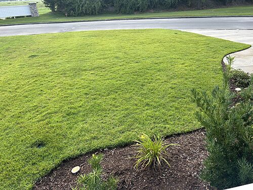 A lawn in New Bern, NC