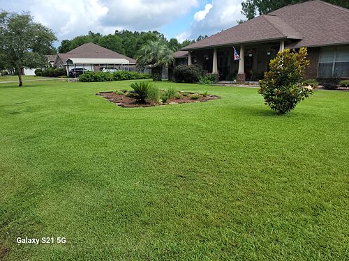 A lawn in Panhandle, FL