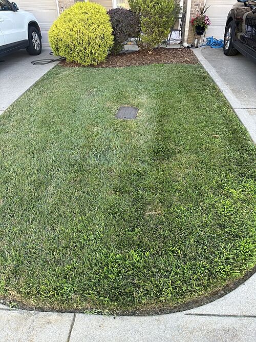 A lawn in East, TN