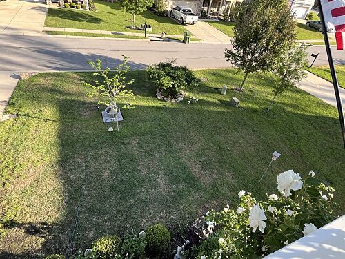 A lawn in Chapin, SC
