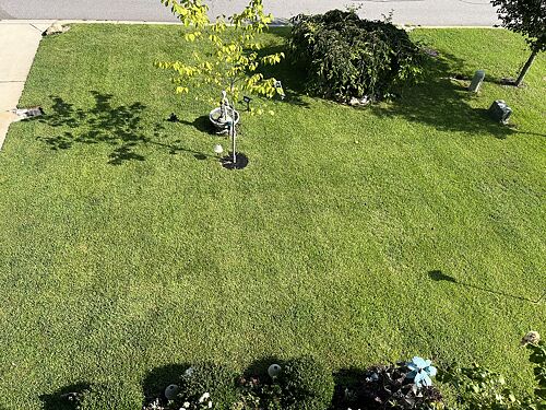 A lawn in Chapin, SC