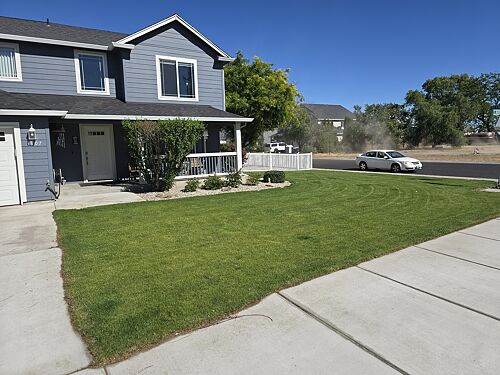 A lawn in Washington