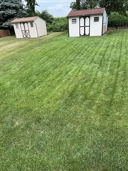 A lawn in Easton, PA