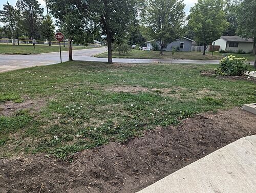 A lawn in MN