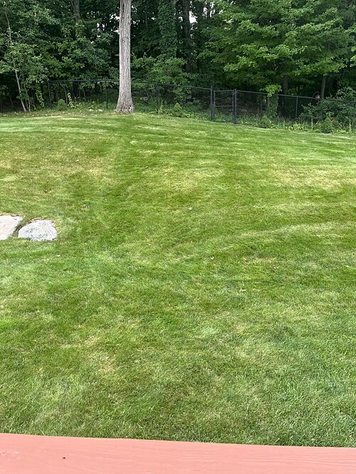 A lawn in Saugus, MA