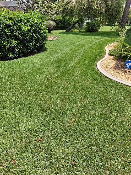 A lawn in Palm Coast, FL