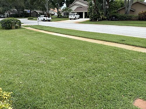 A lawn in Clearwater, FL