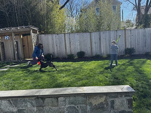 A lawn in Bethesda, MD