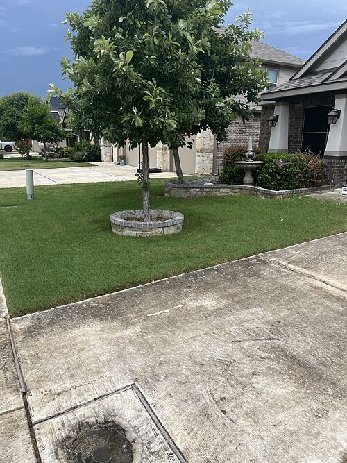 A lawn in New Braunfels, TX