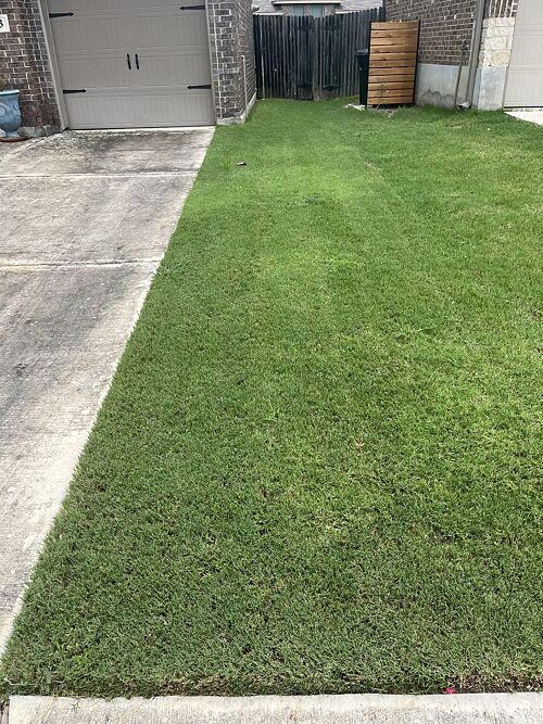 A lawn in New Braunfels, TX