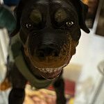 Image of Review by Rene C. on 17 Apr 2024 number 1