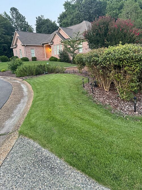 A lawn in Williamsburg, VA
