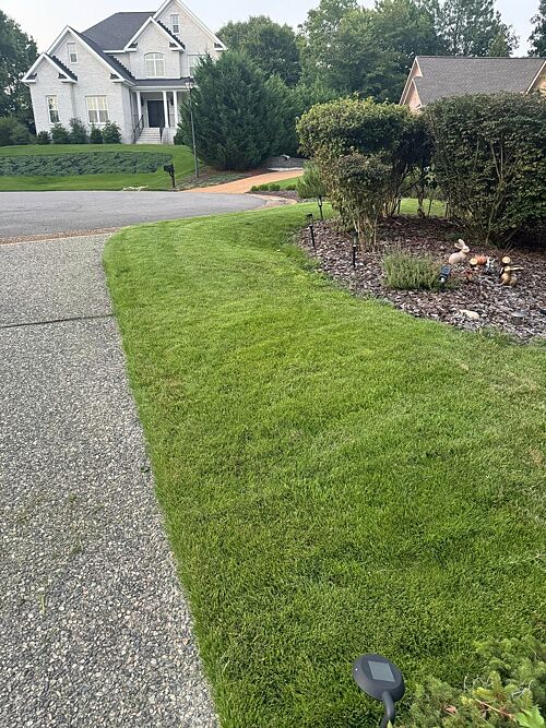 A lawn in Williamsburg, VA