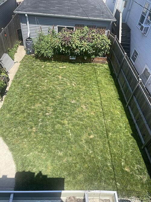 A lawn in Chicago, IL