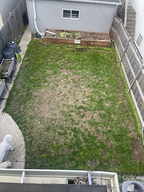 A lawn in Chicago, IL