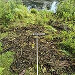 Image of Review by EDWARD C. on 23 Jul 2024 number 1