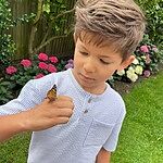 Image of Review by Sietske B. on 27 Jul 2024 number 1