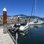 Image of Review by Blue B. on 29 Jul 2024 number 1