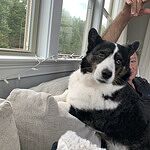 Image of Review by Colleen B. on  7 Aug 2024 number 1