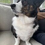 Image of Review by Colleen B. on  7 Aug 2024 number 2