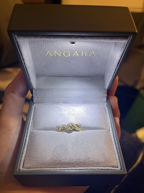 Exquisitely Crafted Promise Ring