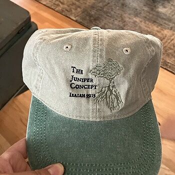 キャップ Signature lettering pigment ball cap 9 colors Custom embroidered cap, custom embroidery cap hat (pigment