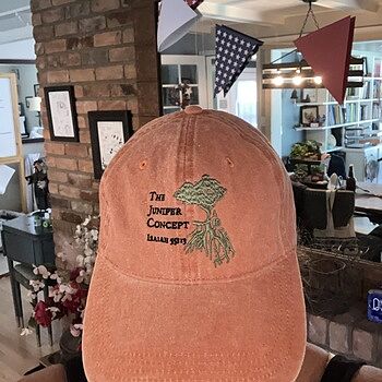 キャップ Signature lettering pigment ball cap 9 colors Custom embroidered cap, custom embroidery cap hat (pigment