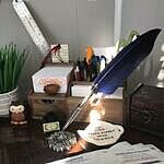 Image of Review by Ashley B. on  2 Aug 2021 number 1