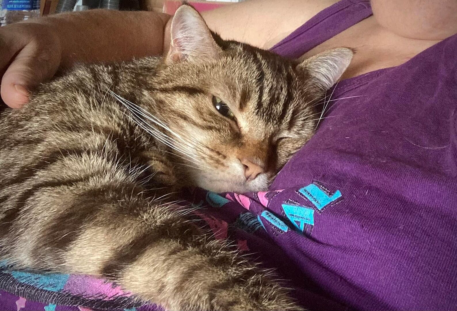 Catalyst Pet customer photo shared by Susan H.